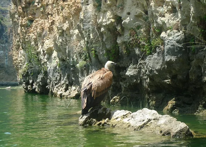 Boutique Hoces Del Duraton 酒店 Sebúlcor